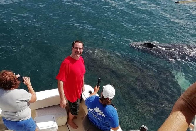 Small-Group Half-Day Whale-Watching Tour in Puerto Vallarta - Who Will Enjoy This Tour Most