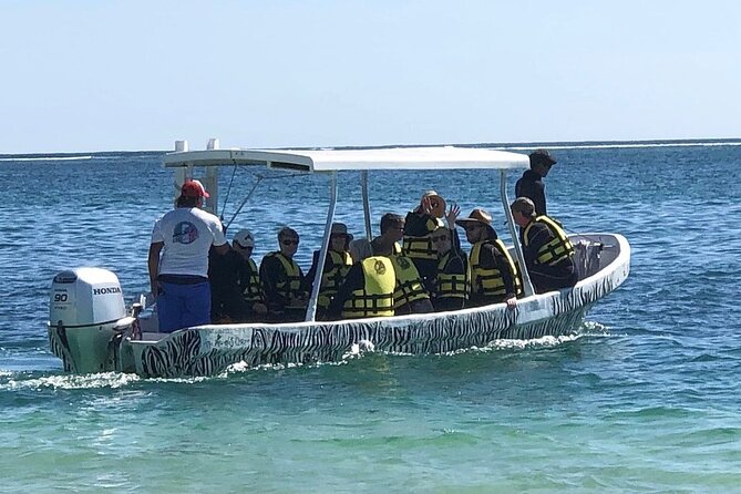 Small-Group Mesoamerican Barrier Reef Snorkeling in Puerto Morelos - Two 45-minute snorkels on the Mesoamerican Reef