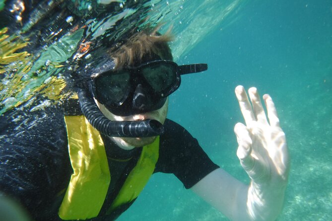 Small-Group Mesoamerican Barrier Reef Snorkeling in Puerto Morelos - What the marine life can look like