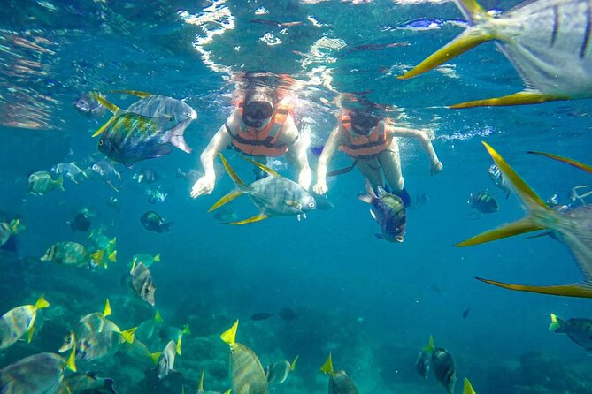 Snorkel and arch tour in los cabos - Meeting at the Cabo San Lucas marina