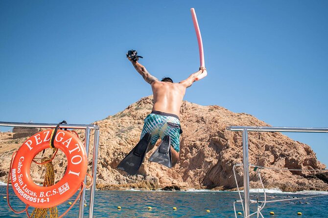 Snorkel Cruise in Los Cabos - Pelican Rock and Playa de los Amantes