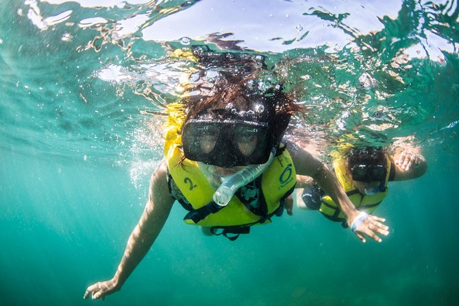 Snorkel, Lunch & Sail in Cabo San Lucas - Who will enjoy this Cabo excursion most