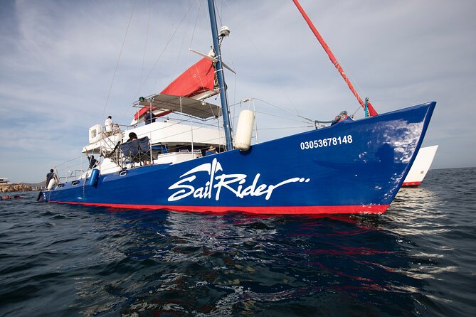 Snorkel, Lunch & Sail in Cabo San Lucas - Cabo’s Arch and Land’s End from the water