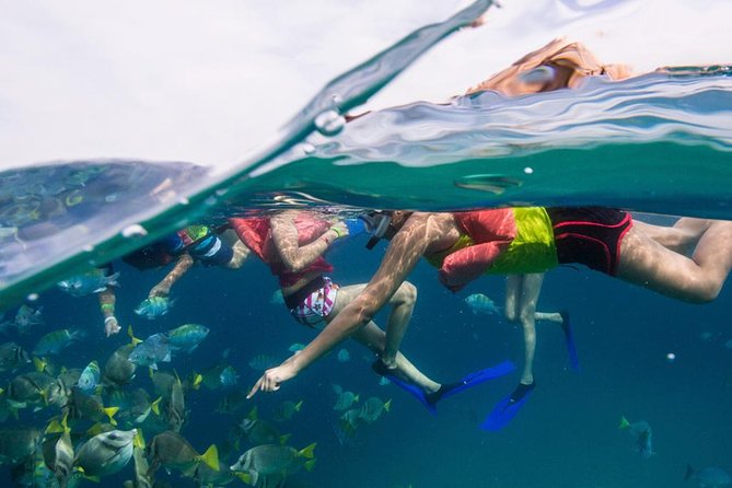 Snorkel Tour and Glass-Bottom Boat Ride in Cabo San Lucas - Starting with hotel pickup in Los Cabos