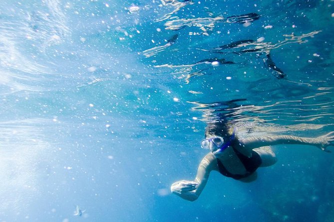 Snorkel Tour and Glass-Bottom Boat Ride in Cabo San Lucas - Lunch after the water time