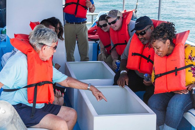 Snorkel Tour and Glass-Bottom Boat Ride in Cabo San Lucas - Morning or afternoon departure?