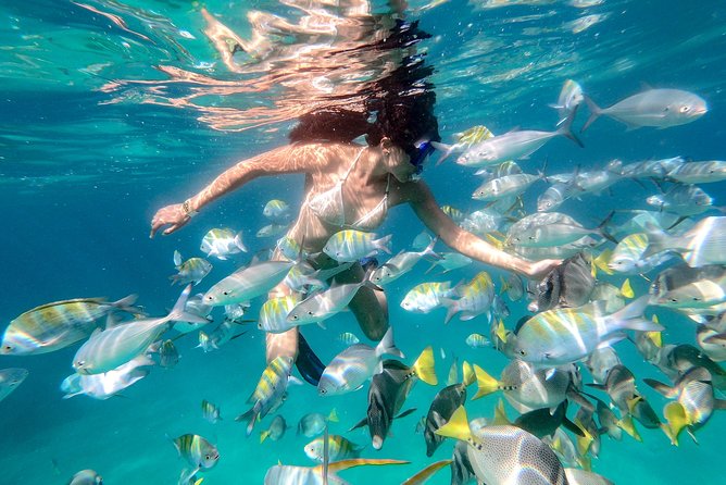 Snorkel Tour and Glass-Bottom Boat Ride in Cabo San Lucas - Who will enjoy this Cabo outing?