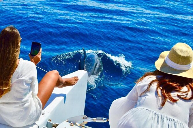 Snorkeling Catamaran Tour at Santa Maria Bay - The Arch, Pelican Rock, and Lover’s Beach