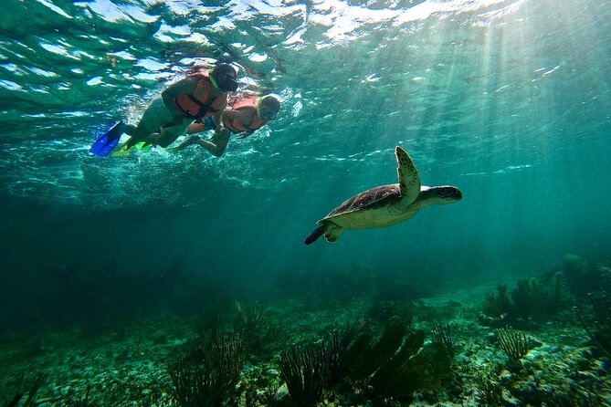 Snorkeling Guided Activity in Puerto Morelos Mexico - Boarding at Faro Inclinado