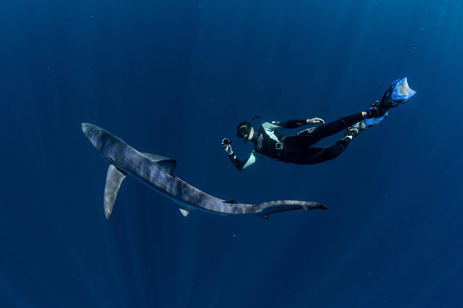 Snorkeling or Swimming with Sharks in Cabo San Lucas - The shark briefing and safety routine