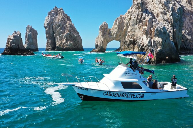 Snorkeling or Swimming with Sharks in Cabo San Lucas - What swimming with the sharks may feel like