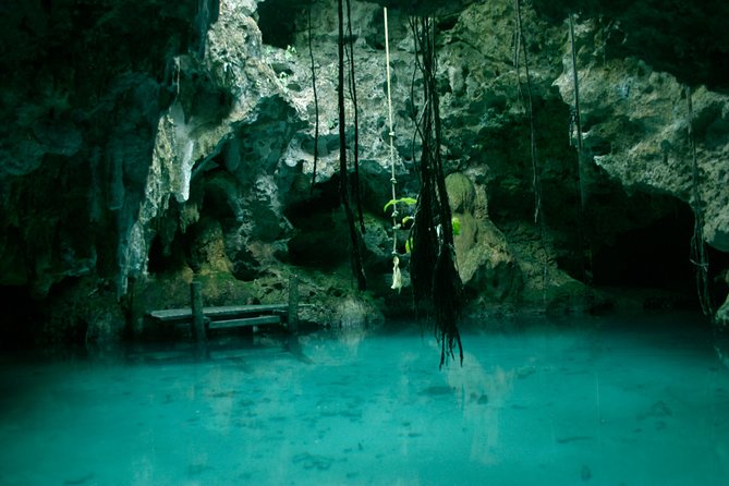 Snorkeling with Caribbean fish and private cenote exploration - Lunch in a remote setting