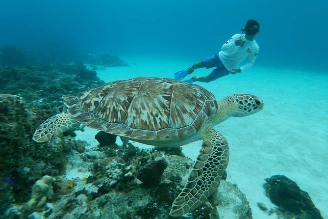 Starfish, Stingrays and the Turtle Sanctuary Snorkel Tour - Stop two: El Cielo and its sea stars