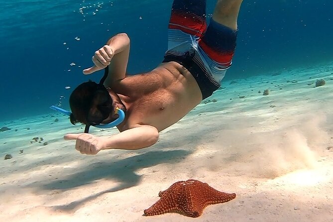 Starfish, Stingrays and the Turtle Sanctuary Snorkel Tour - Stop one: Reef snorkeling near Columbia and Dzul-Ha