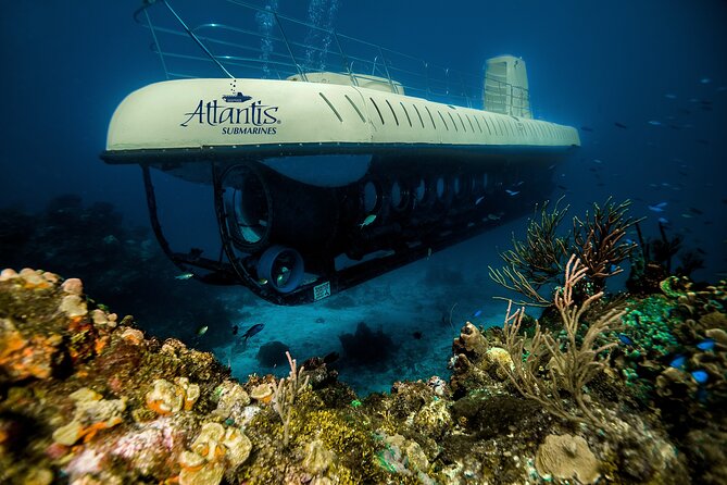 Submarine Atlantis Cozumel Adventure by Day & Sunset - Is $120 a fair price?
