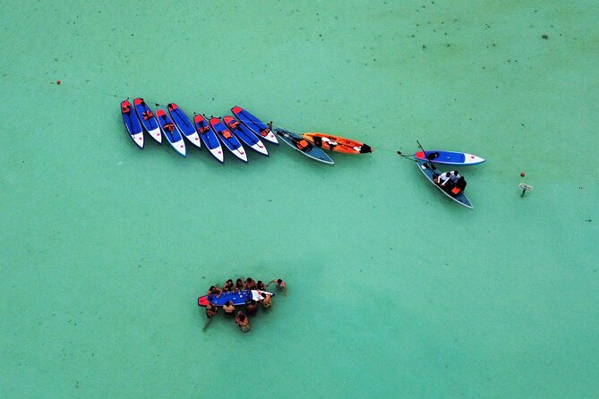 Sunrise by Paddle or Kayak with Floating Picnic - The Channel and First Swim