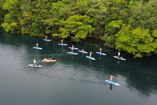 Sunrise by Paddle or Kayak with Floating Picnic - How Much Is $29.80 Worth?