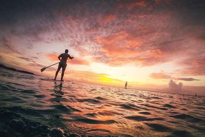 Sunrise Session - The #1 Paddleboard Tour On The Caribbean Sea - Why this sunrise paddle is worth waking up for