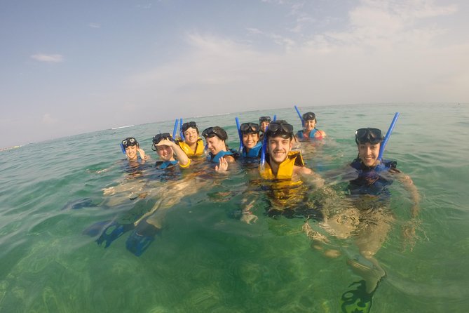 Swim with sea turtles - Why Akumal works so well for a short snorkeling trip