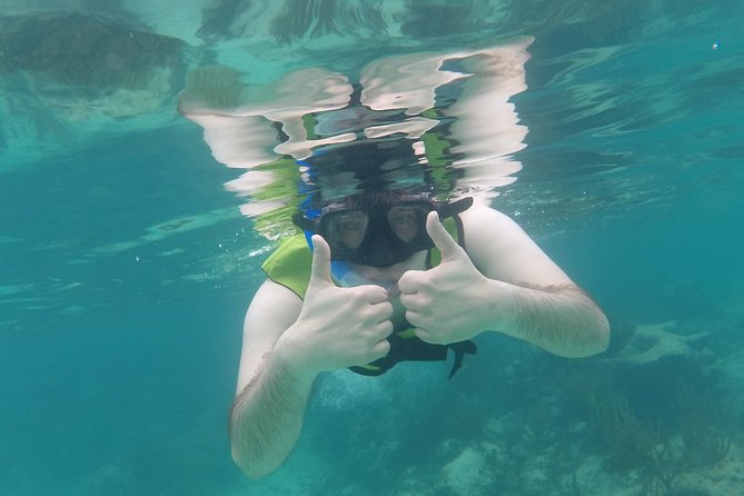 Swim with sea turtles - The guides make or break the experience