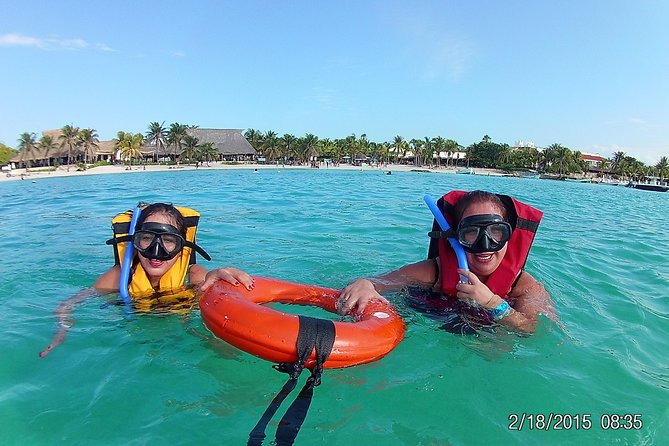 Swim with sea turtles - Timing, weather, and crowd levels