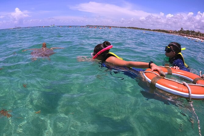 Swim with Turtles in Akumal + GoPro Photo Session - Why Akumal Bay is worth the trip