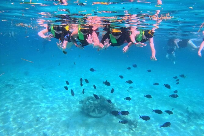 Swim with Turtles in Akumal + GoPro Photo Session - Following the turtle circuit in Akumal