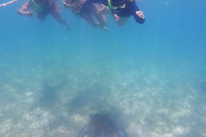 Swim with Turtles in Akumal + GoPro Photo Session - Staying at Akumal after the swim