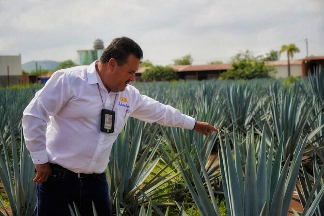 Tequila Tour - Key points before you book