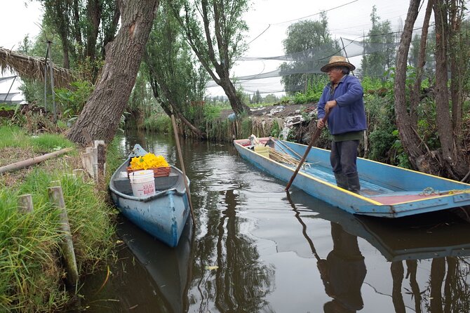 The City Green Exploring the Urban Eco Reserve of Xochimilco - Starting at Hagamos Composta Café Comunitario
