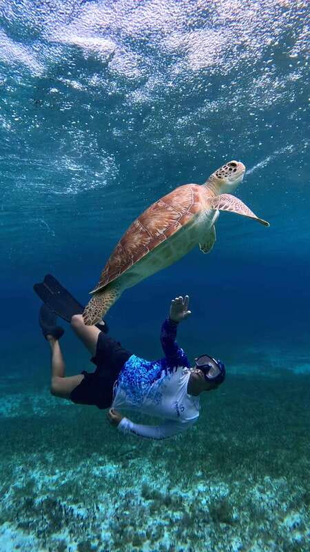 The Cozumel Turtle Sanctuary Snorkel Tour - What to wear and pack for this particular trip