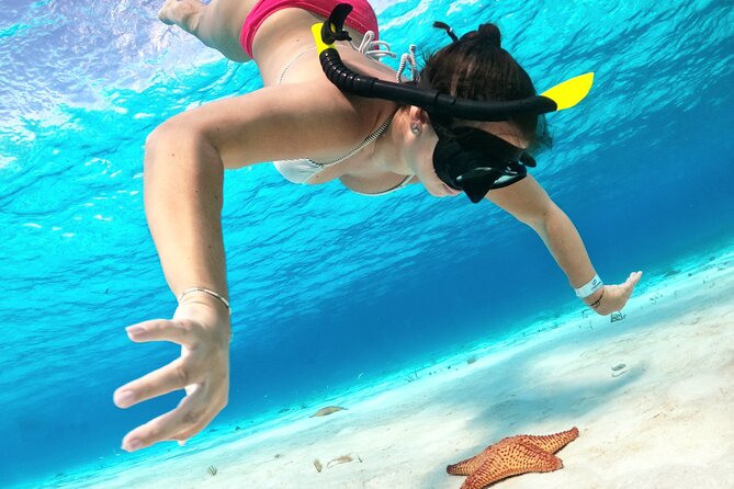 The Cozumel Turtle Sanctuary Snorkel Tour - First snorkeling stops: reef fish, rays, and possible sharks