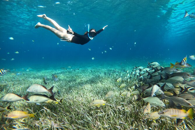 The Cozumel Turtle Sanctuary Snorkel Tour - El Cielo and Cielito: white sand, starfish, and the food stop
