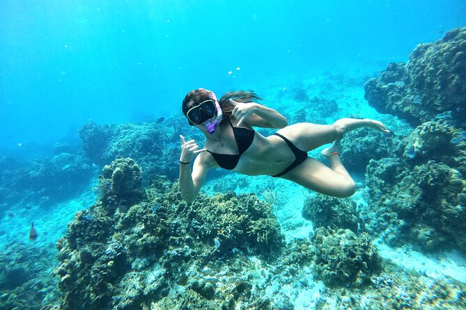 The Cozumel Turtle Sanctuary Snorkel Tour - The sunset ride back is a pleasant finish