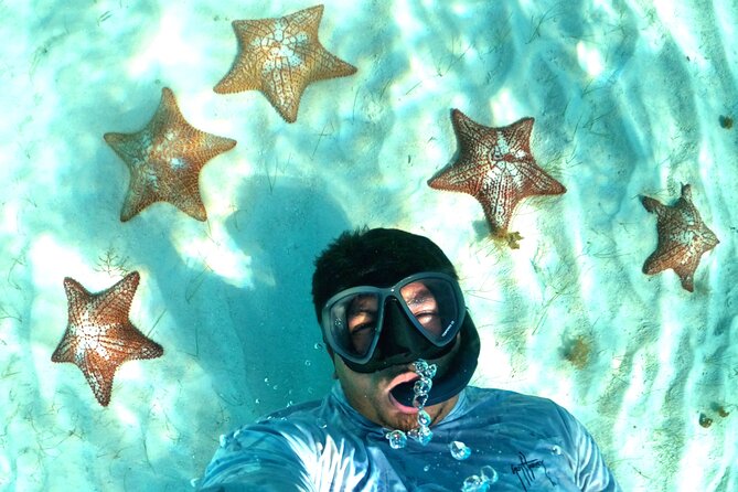 The Cozumel Turtle Sanctuary Snorkel Tour - Meeting in Cozumel without losing time