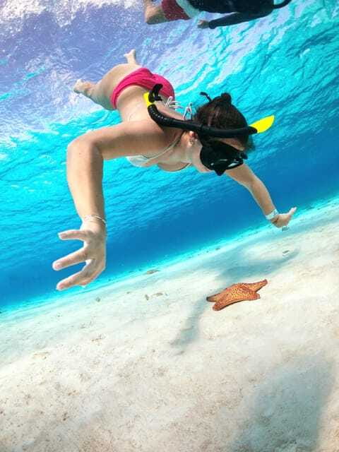 The Cozumel Turtle Sanctuary Snorkel Tour - Crowds, safety, and the conservation rules