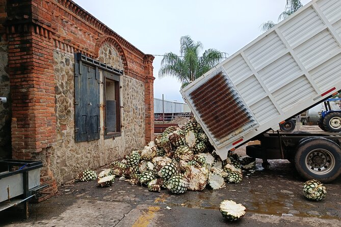 The Fire TOUR - Pyramids, Volcanoes, Agaves & Tequila - Tequila town in 90 minutes