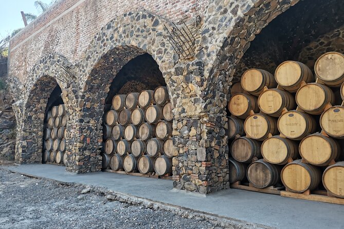 The Fire TOUR - Pyramids, Volcanoes, Agaves & Tequila - Guides, vehicles, and the feel of the day