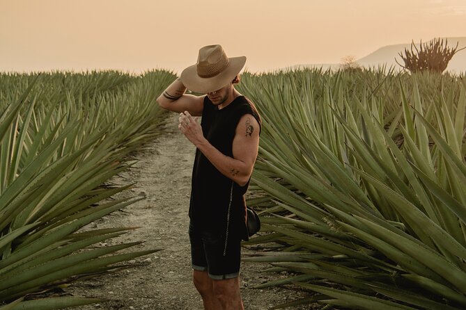 The Mezcal Journey - Key points to know before booking