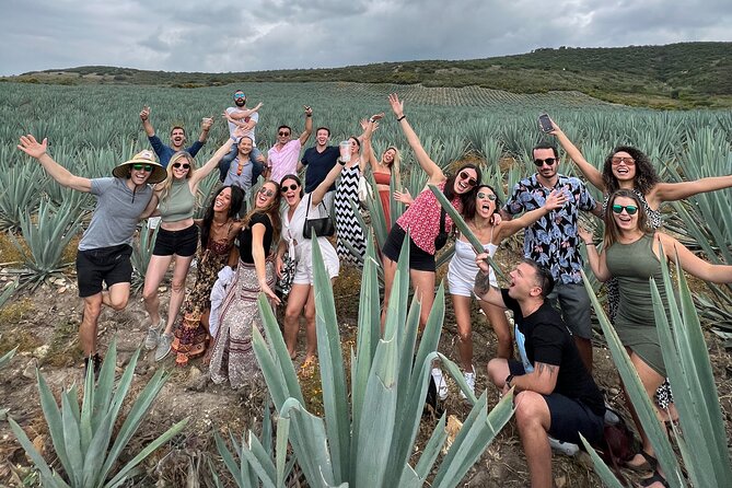 The Mezcal Journey - Why this half-day makes sense in Oaxaca