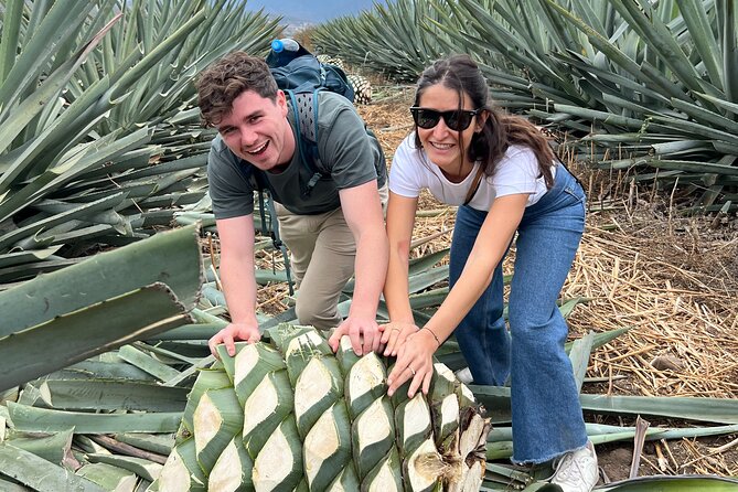 The Mezcal Journey - The unlimited tasting: useful, generous, and easy to overdo