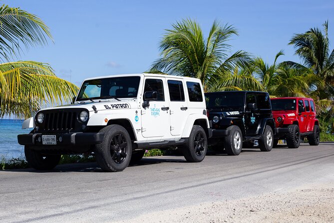 The Original Jeep Tour Revamped by Tortugas Cozumel® (Private) - Tortugas Beach Club and shore snorkeling