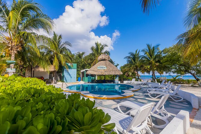 Tikinxic Barefoot Fish Guided Cookout Experience in Cozumel - Is $106 a fair price?