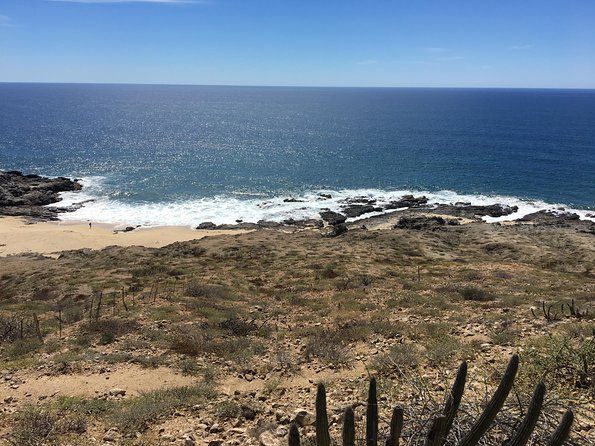 Todos Santos Day Trip from Cabo San Lucas - Who will get the most from this tour?