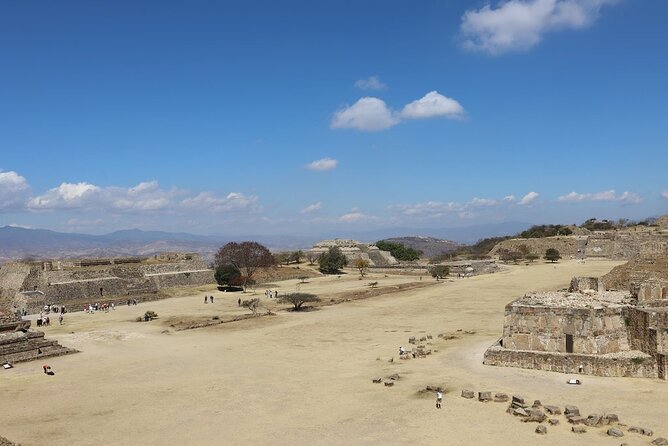 Tour Monte Albán "clasico" - Mezcal in San Antonio Arrazola