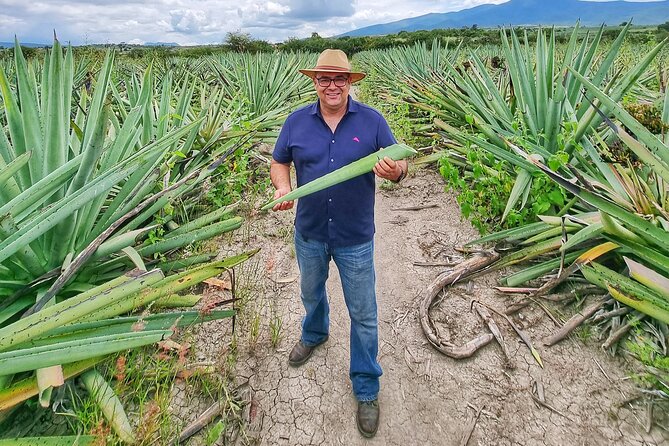 Tour Monte Albán, Hierve el agua, Teotitlán Del Valle and Mezcal - Transport, pickup, and the private format