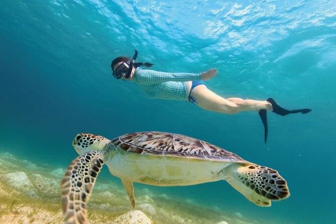 Tour to Tulum and cenote with swimming with turtles from Riviera Maya - Pickup, meeting points, and the early start