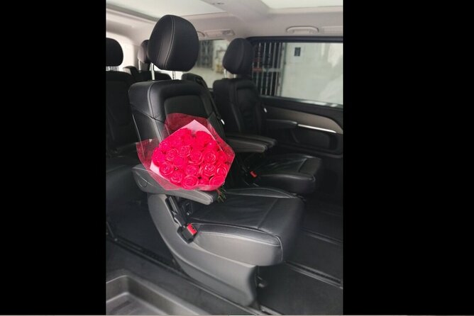 Transfer in Luxury Mercedes Benz Minivan - Mercedes comfort, Wi-Fi, and the vehicle issue