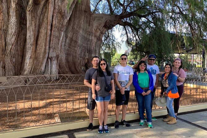 Tule, Mitla & Hierve el Agua Full-Day Tour with Certified Guide - The van, pickup, and group size