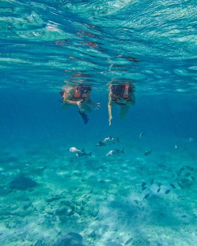 Tulum: 2-Hour Snorkeling in Two Spots of Tulum's Reef - The real cost: $50 plus Parque del Jaguar admission
